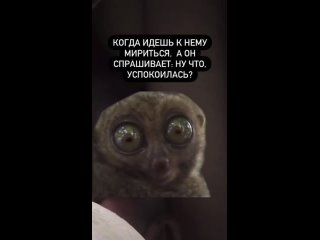 Девушки