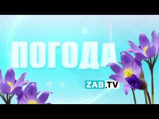 Прогноз погоды на 11 апреля 2024 года 🌸