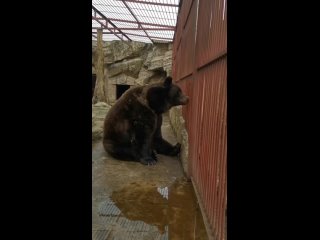 ♨️ Теперь уже точно весна!

В Минском зоопарке проснул