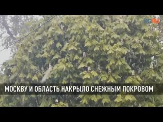 Ледяная стужа в Москвы задержится на всю неделю