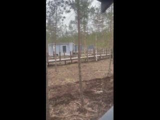 Эко-ферма «Лес»tan video