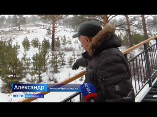 Стаи собак нападают на оленей в окрестностях Красноярска