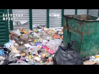 Единственное убежище на улице Землячки в Воронеже затопило фекалиями