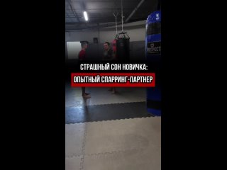 Страшный сон новичка