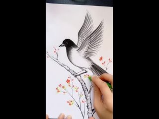 Рисуем красивую птицу