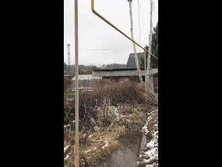 Видео от Спил деревьев в Екатеринбурге