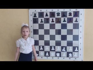 шахматная семья 8