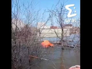 Курганец всеми силами пытался спасти свою кошку из воды