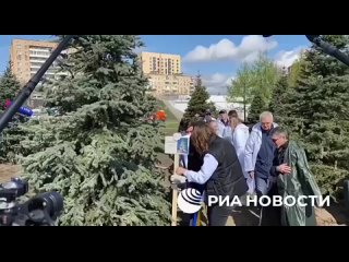 В парке Ростокинский акведук высадили 90 елей, которые стояли на ВДНХ и стали символами выставки Россия.