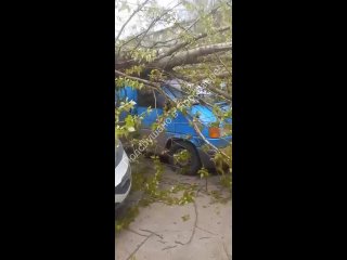 Дерево придавило машины