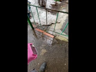 Video by БФ Спутник дворняги