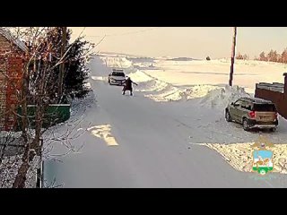 В Башкирии жена нетрезвого водителя подралась с полицейским 

В Стерлитамакском районе  инспекторы ГИБДД остановили Шкоду Йети,