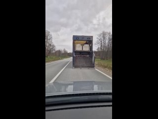 По Латвии перевозили свинок в незакрытом фургоне
