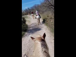 Видео от Конные прогулки Севастополь +7 (978) 748-51-19
