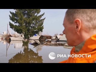 Сотрудники МЧС из Югры рассказали РИА Новости, как ежедневно спасают животных и людей с затопленных территорий Кургана