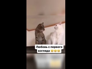 Video by Женские секреты
