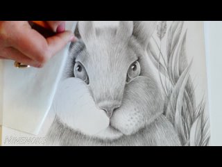 Как нарисовать кролика или зайца простым карандашом Подробный урок по графике.