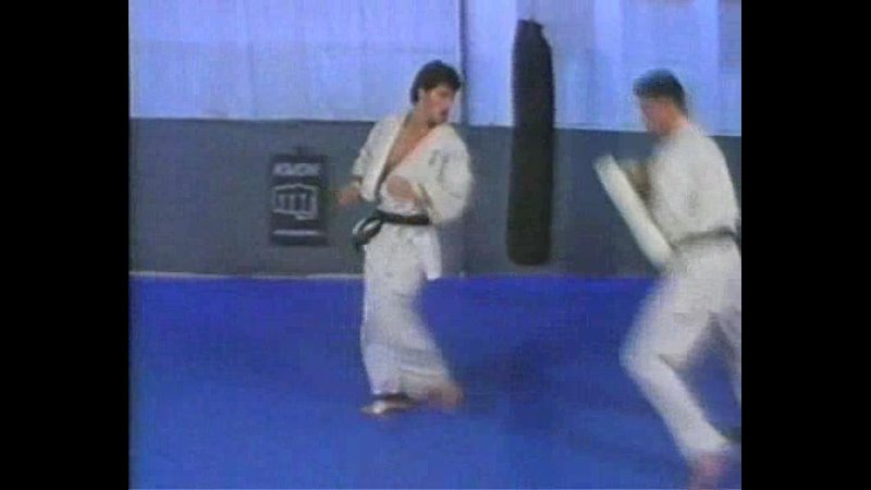 Martial Arts kyokushinkai karate volume1 (fundamental techniques and conditioning) by Andy hug and