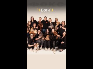 Video by Зоосалон ФОКС|Стрижка собак,кошек|Курсы груминга