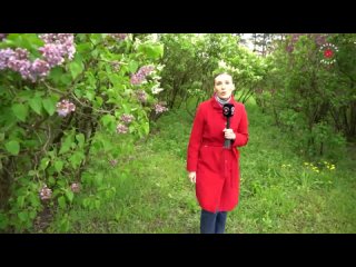 Видео от Липецк | В Фокусе