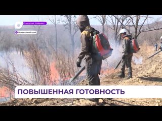 В Приморье введён режим повышенной готовности в связи с пожароопасной обстановкой
