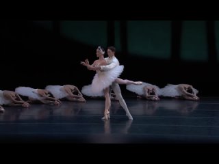 Tchaikovsky - Swan Lake (The Australian Ballet, 2023) I, II Acts