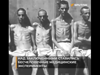 Сегодня — Международный день освобождения узников фашистских концлагерей