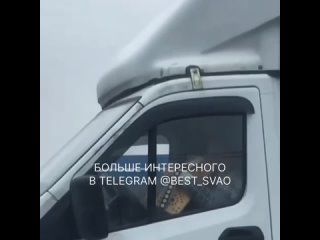 Водитель-музыкант на Ярославском шоссе.