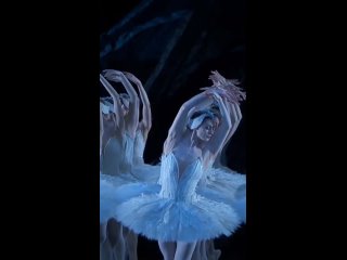 Отрывок балета Лебединое озеро