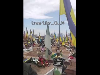 Воинское кладбище в Харькове с каждым днем продолжает расти