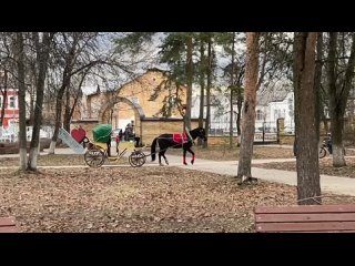 Видео от Конные фотосессии в Боровичах/Аренда кареты