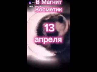 Video by Магнит-Косметик | Новодвинск | 50-лет Октября 43