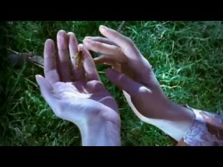 116. Alex Lloyd - Amazing (Official Video)