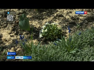 Садоводы ЛНР открыли сезон посева