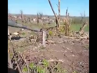 ️ L’ennemi confirme l’avancée de nos troupes près d’Arkhangelsk et d’Urozhainy