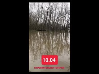 Затопление СТСН Лесовод-2, Оренбургский район, пос. Пригородный, апрель 2024