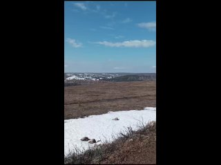 Video by Башкирский мёд Пасека_102