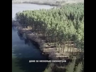 За безопасностью лесов в Липецкой области следят дроны