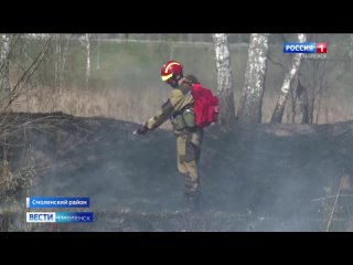 На Смоленщине в этом году ожидается большое количество палов и лесных пожаров