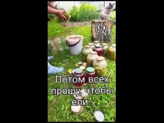 Видео от В гостях у Маркизы хи- хи Ярославль