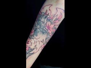 Video by Meow tatto