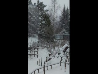 Видео от Светланы Блусенковой