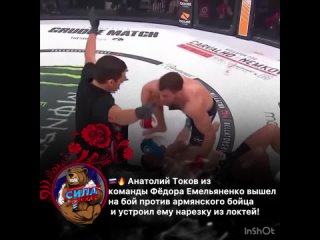 Толя Токов победил армянина