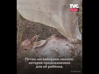 «Часто мы думаем, что боремся за разные вещи, но я вижу только сходство»