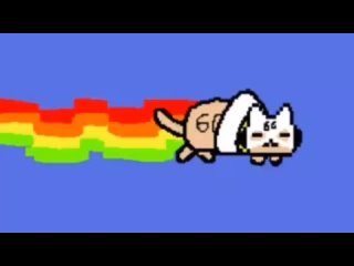 NYASH CAT