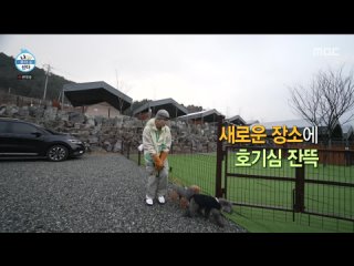 240315 I Live Alone Key Camping Episode 547