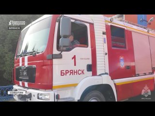Пожарные бьют тревогу: на Брянщине растет количество природных пожаров