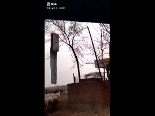 см13 Завораживающее видео - Торнадо в Монголии попадает в объектив камеры
