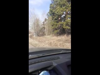 Видео от Школа выживания В ЛЕСУ Вологда