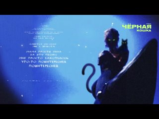 CHEPIKK - Чёрная кошка (Премьера песни_ 2024)(720P_HD).mp4